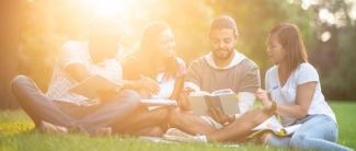 Students sitting in the grass